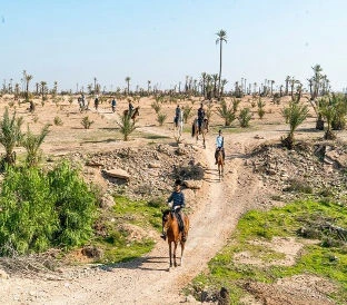 balade en cheval